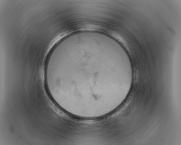 X0000113111130200909251046