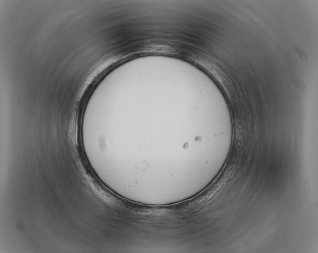 X0000113111131200909251046