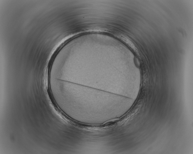 X0000113111132200909251046