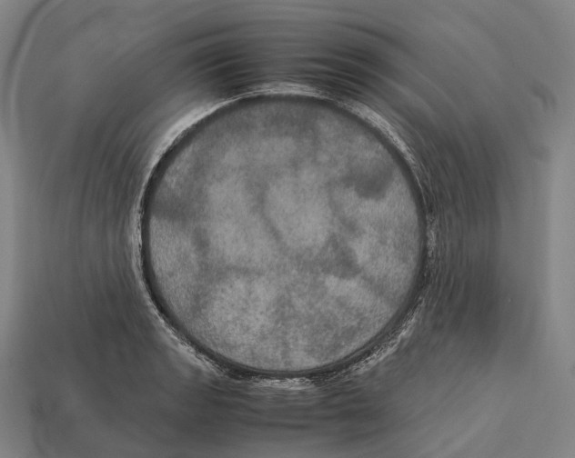 X0000113111133200909251047