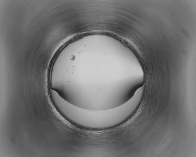 X0000113111134200909251047
