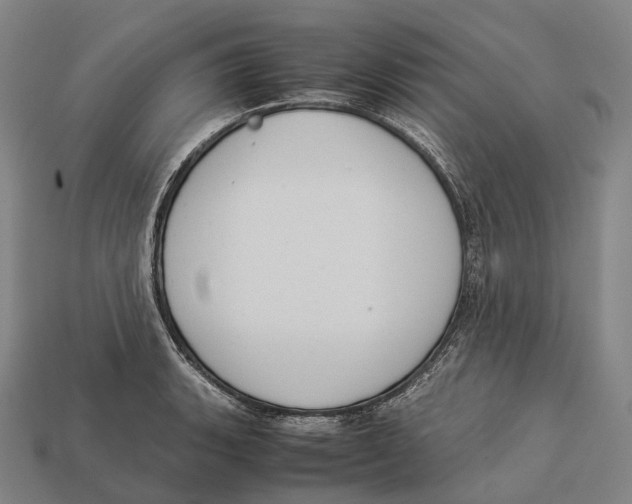 X0000113111135200909251047