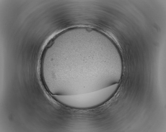 X0000113111136200909251047