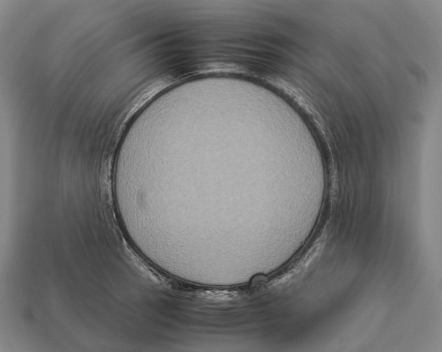 X0000113111137200909251047