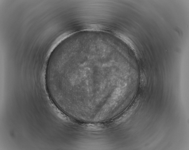 X0000113111138200909251047