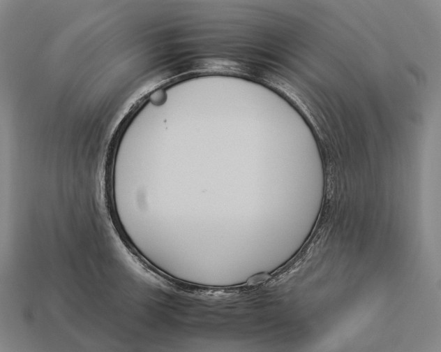 X0000113111139200909251047