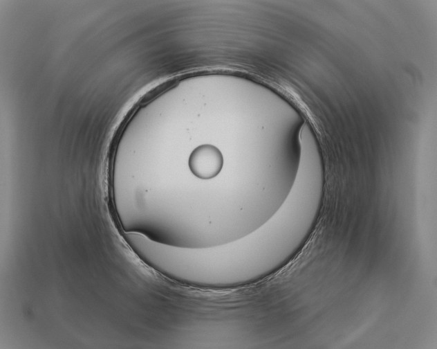 X0000113111140200909251047