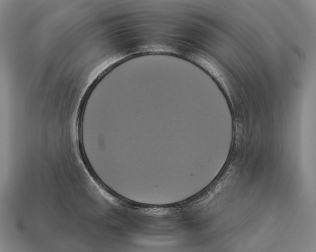 X0000113111141200909251047