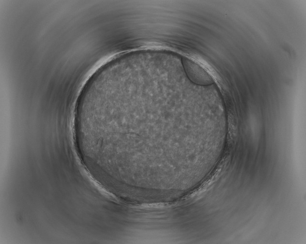 X0000113111142200909251047