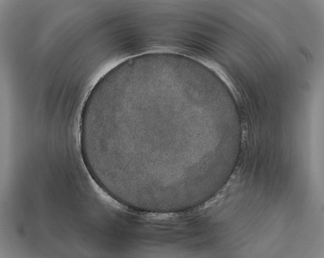 X0000113111143200909251047