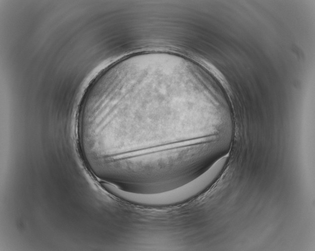 X0000113111144200909251047