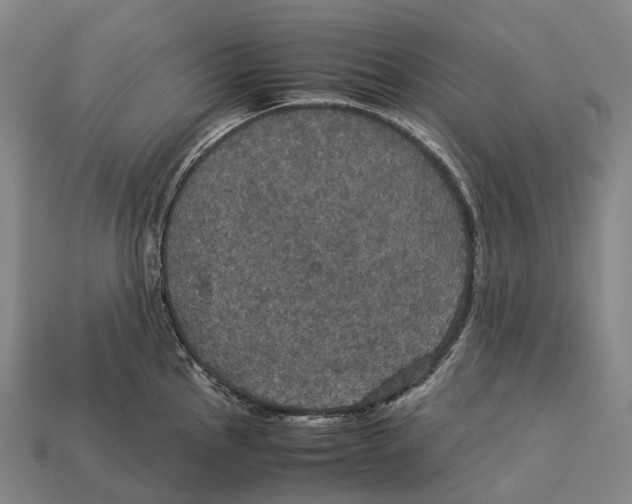 X0000113111145200909251047