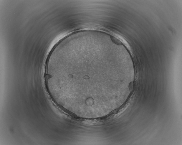 X0000113111146200909251047