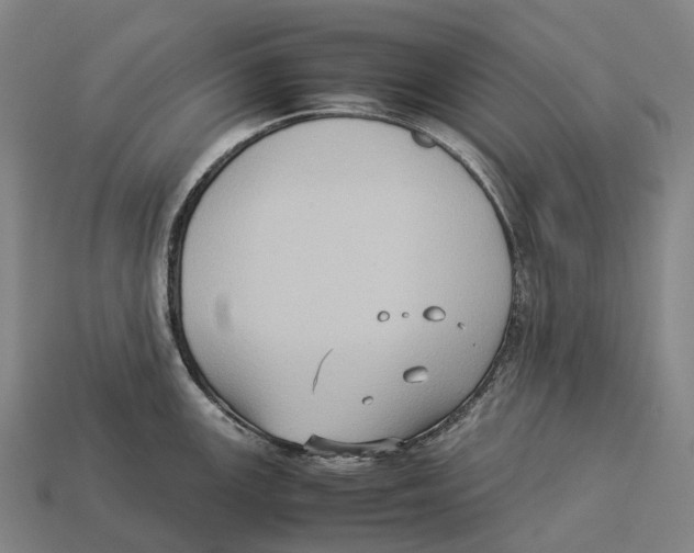 X0000113111147200909251047