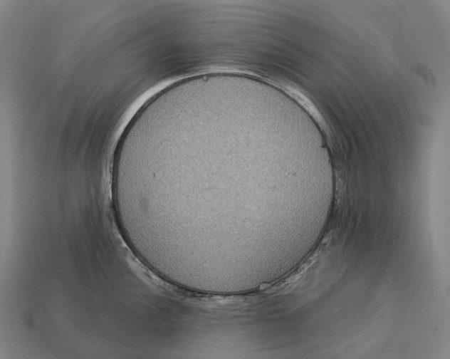 X0000113111148200909251047