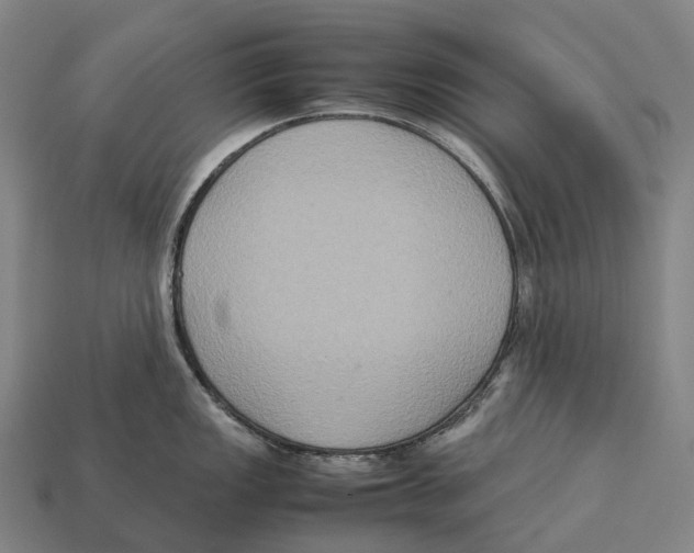 X0000113111149200909251047