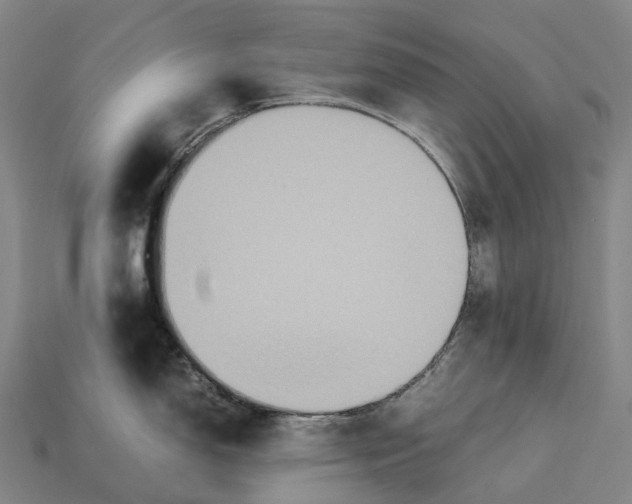 X0000113111150200909251047