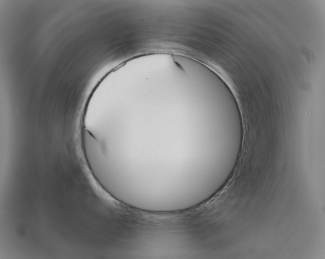 X0000113111152200909251047