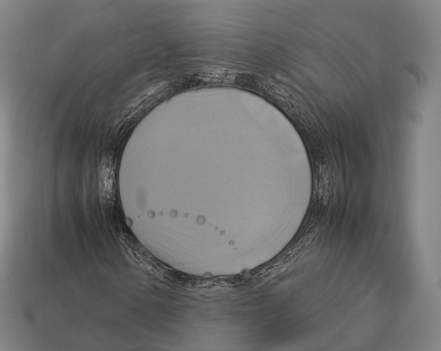 X0000113111154200909251046