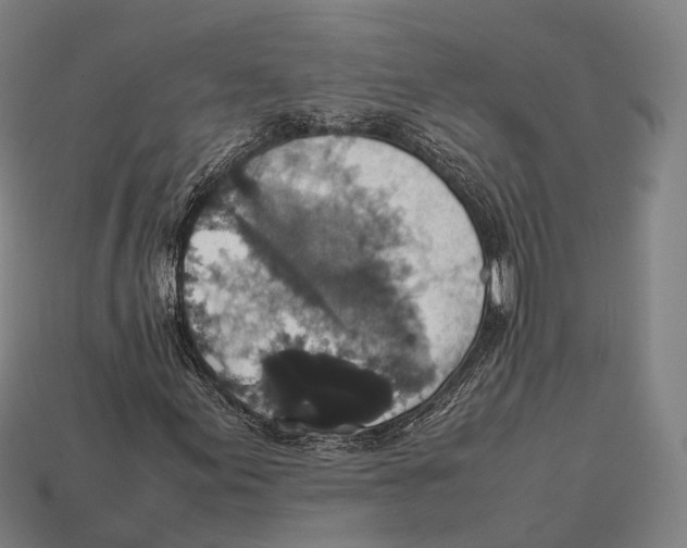 X0000113111155200909251046