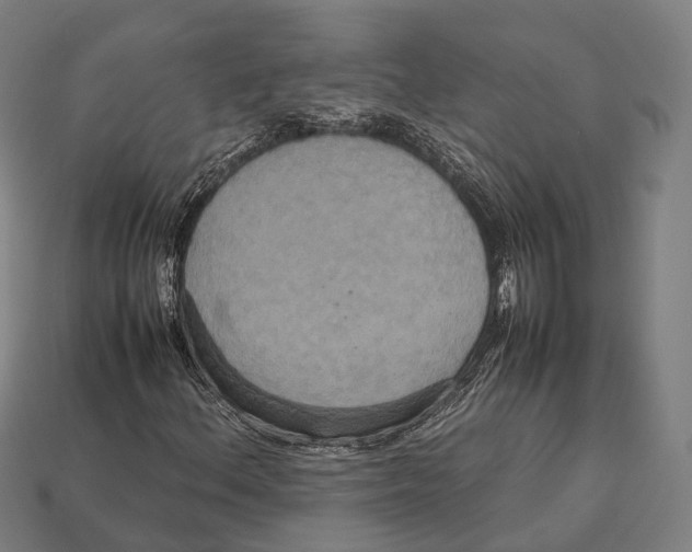 X0000113111156200909251046