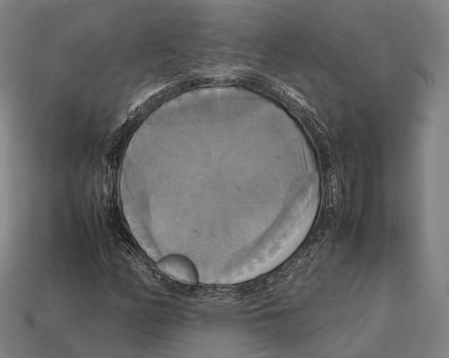 X0000113111158200909251046