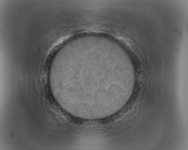 X0000113111159200909251046