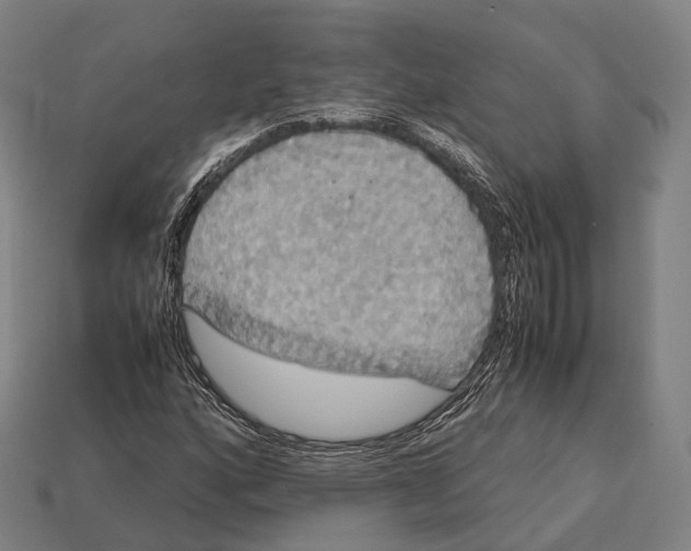 X0000113111160200909251046