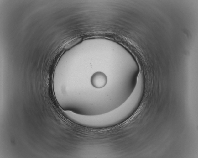 X0000113111161200909251046