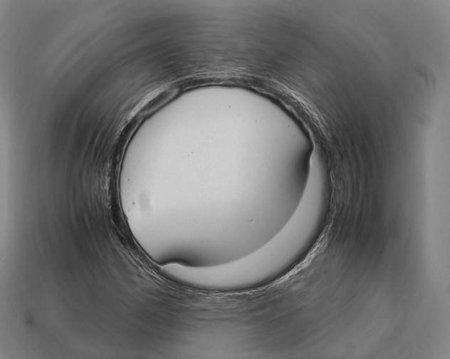 X0000113111162200909251046