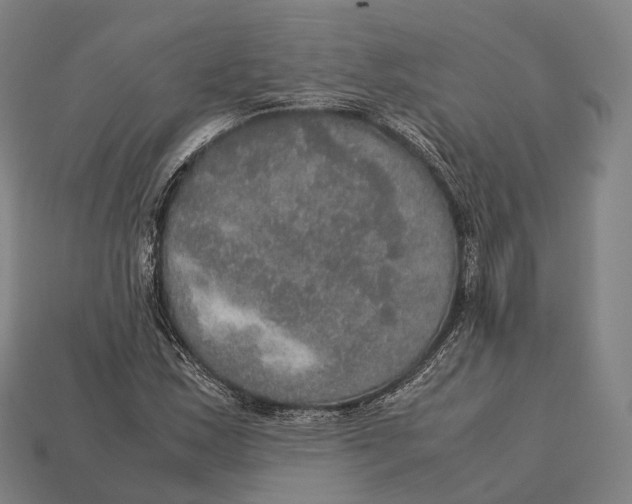 X0000113111163200909251046