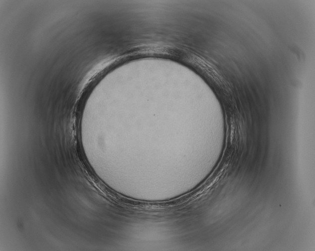 X0000113111164200909251046