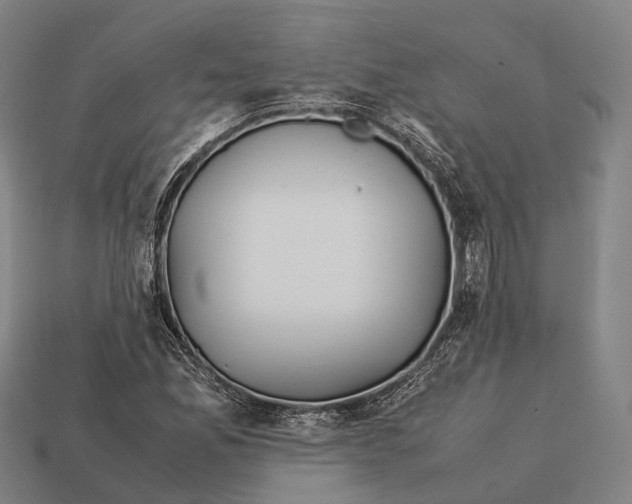X0000113111165200909251046