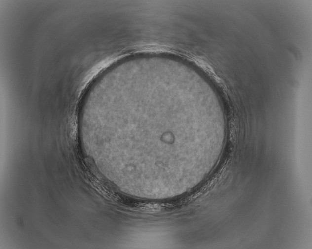X0000113111167200909251046