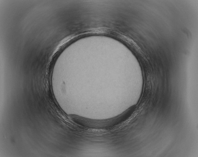 X0000113111168200909251046