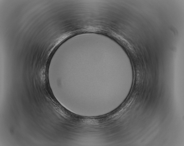 X0000113111170200909251046