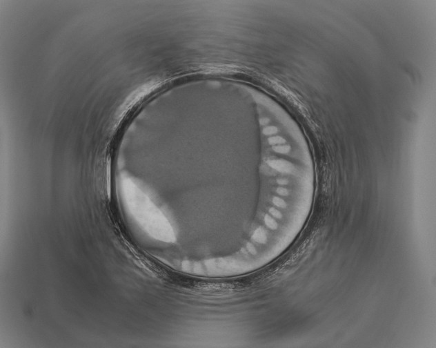 X0000113111171200909251046