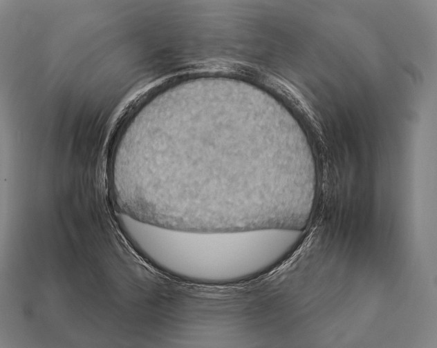X0000113111172200909251046