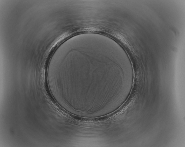 X0000113111173200909251046