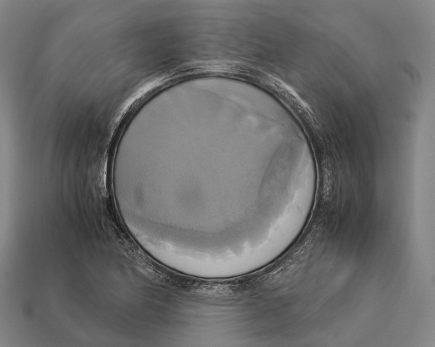 X0000113111174200909251046