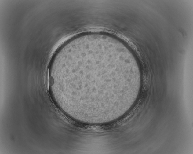 X0000113111175200909251046