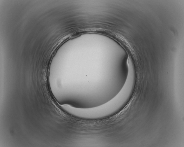 X0000113111177200909251046