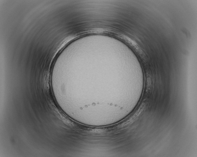 X0000113111178200909251046