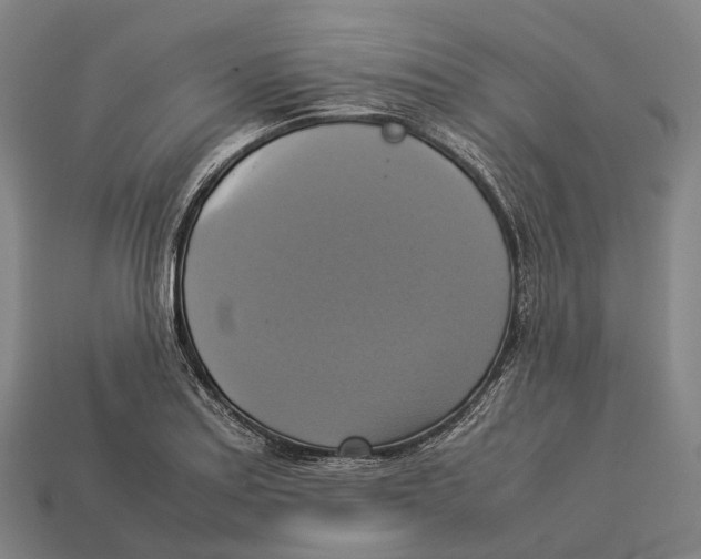 X0000113111179200909251046