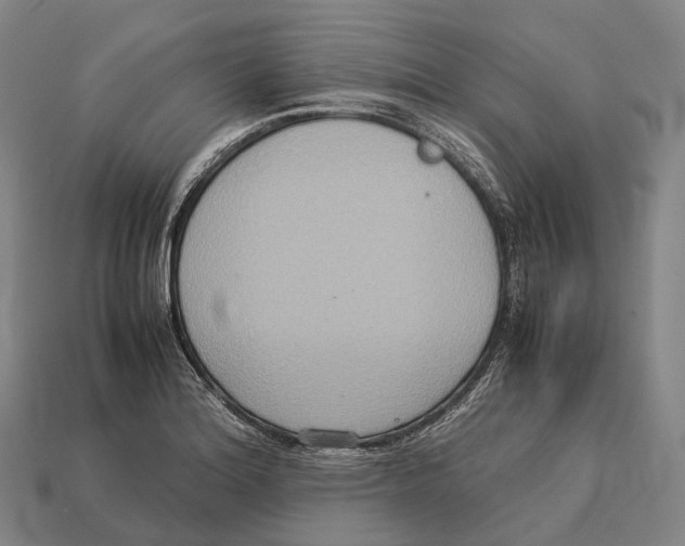 X0000113111180200909251046
