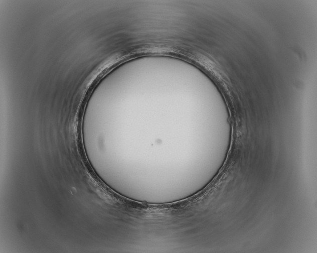 X0000113111181200909251046