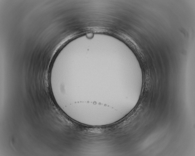 X0000113111182200909251046