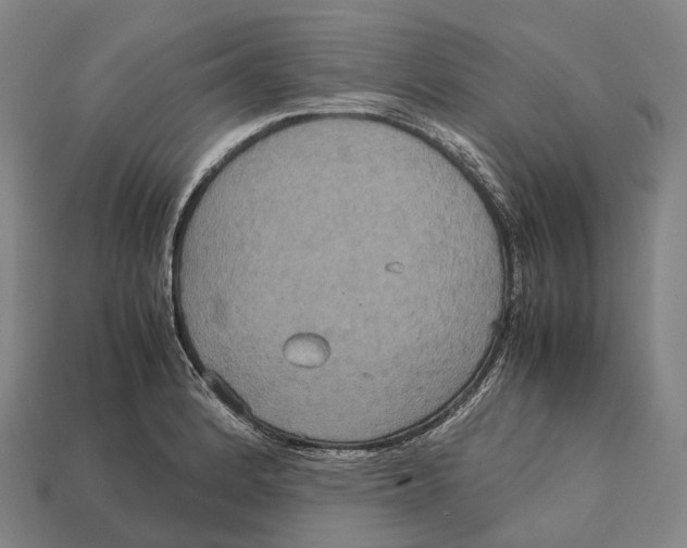 X0000113111184200909251046