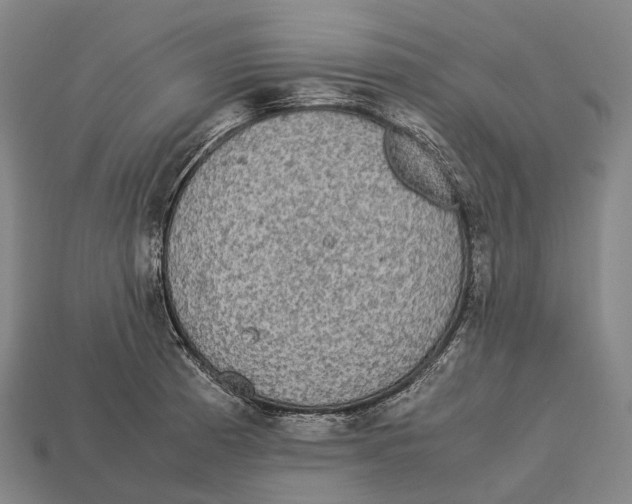 X0000113111185200909251046