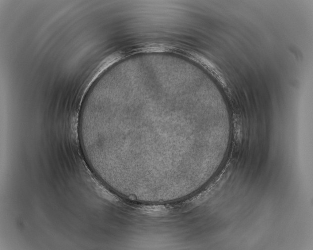 X0000113111186200909251046